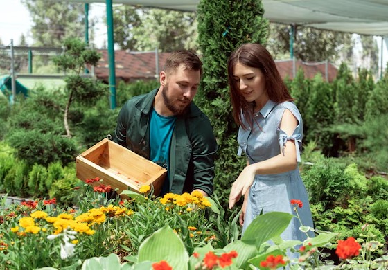 asesoría-en-jardinería