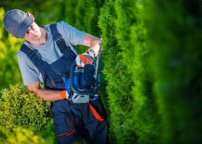 servicios-jardinería-los-mejores